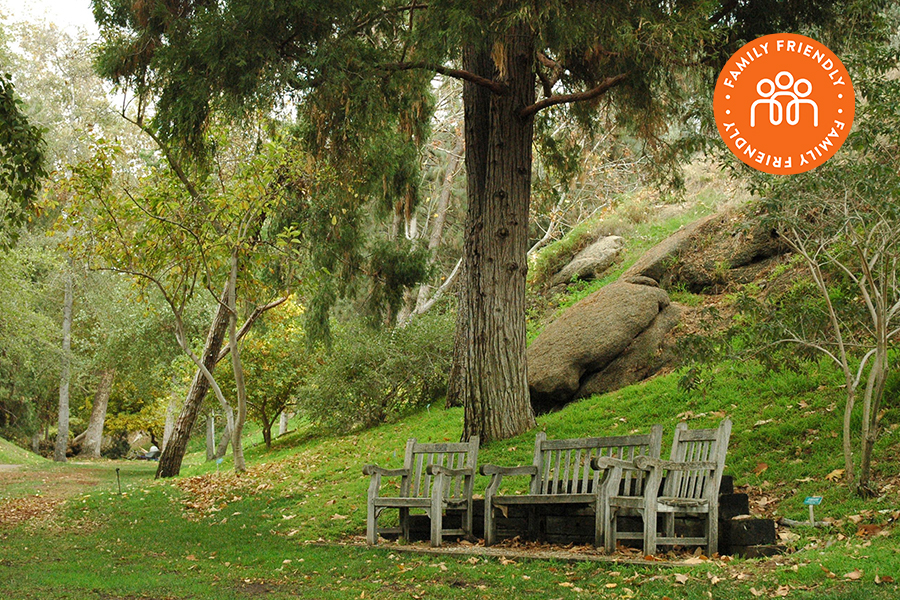 Serene scene of bench and chairs under a tree at the Botanical Gardens.  Image stamped with Family Friendly Badge